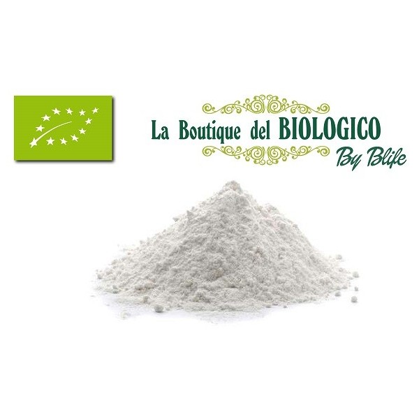 Farina di grano tenero 00 bio 100 g (SFUSA)