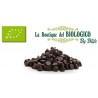 Gocce di cioccolato fondente bio 100 g (SFUSE)