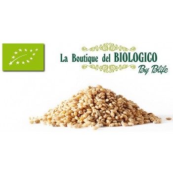 Orzo decorticato bio 100gr (SFUSO)