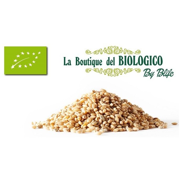 Orzo decorticato bio 100gr (SFUSO)