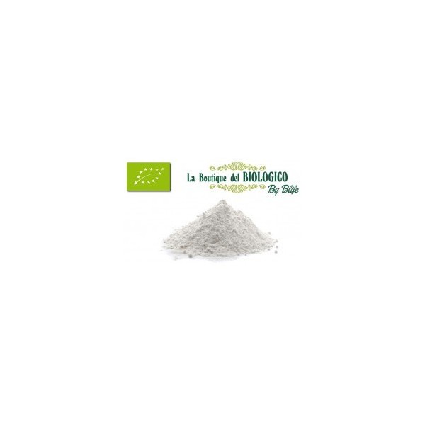 Farina di grano tenero 0 bio 100 g (SFUSA)
