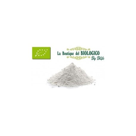 Farina di grano tenero 0 bio 100 g (SFUSA)