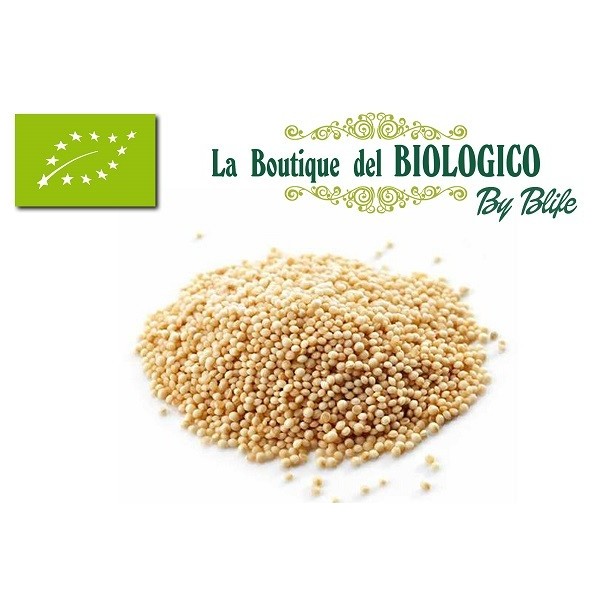 Amaranto bio 100 gr (SFUSO)