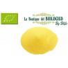 Semola rimacinata di grano duro bio 100g (SFUSA)
