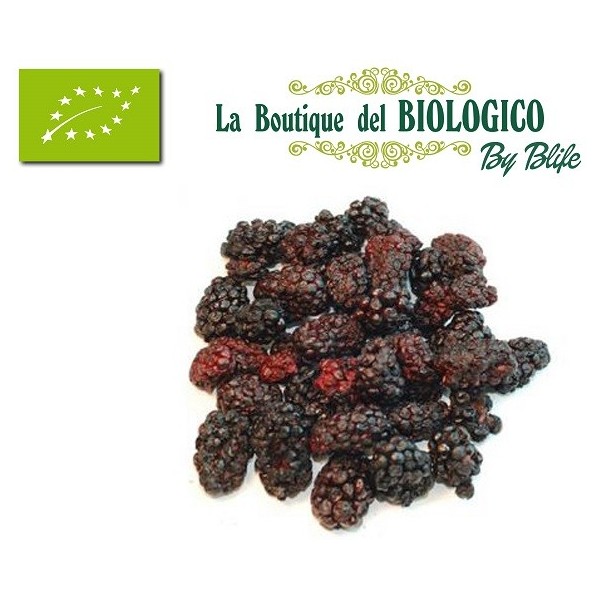 More nere disidratate bio 25 g (SFUSE)