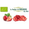 Chips di fragola bio 25 g (SFUSO)