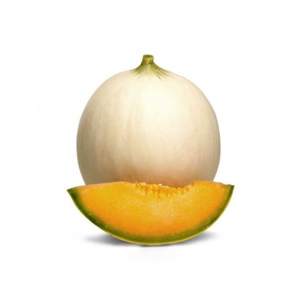Melone Liscio bio  (1-1,3 kg circa)