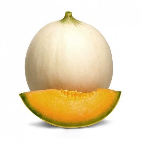 Melone Liscio bio  (1-1,3 kg circa)