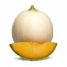 Melone Liscio bio  (1-1,3 kg circa)