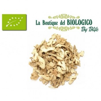 Zenzero disidratato a fette bio 25 g (SFUSO)