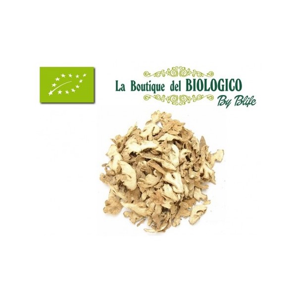 Zenzero disidratato a fette bio 25 g (SFUSO)