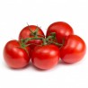 Pomodori Grappolo bio 1 Kg c.ca OFFERTA