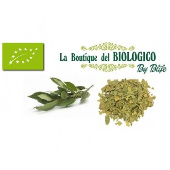 Alloro secco in foglie biologico 25 gr (SFUSO)