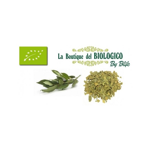 Alloro secco in foglie biologico 25 gr (SFUSO)