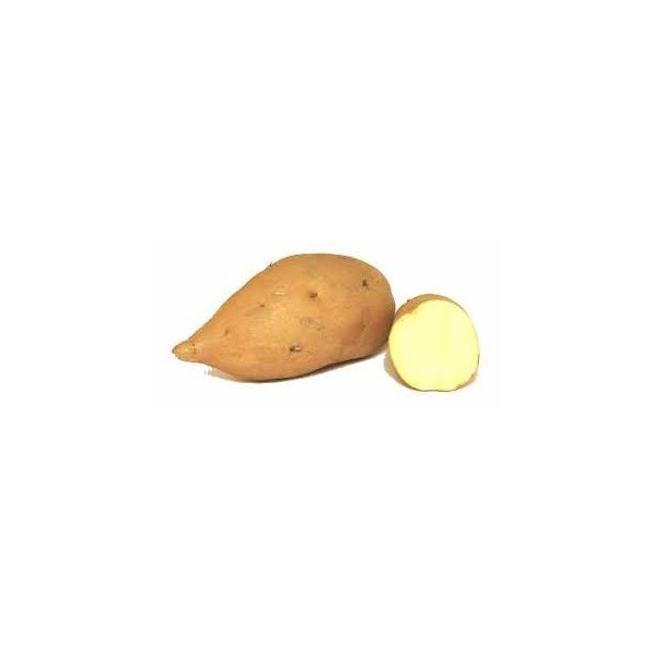 Patata americana dolce bio 500 g
