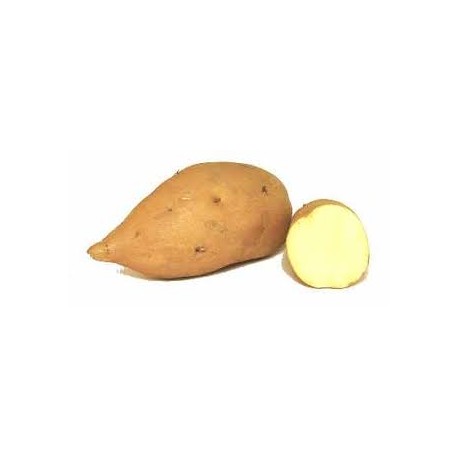 Patata americana dolce bio 1 Kg - Offerta