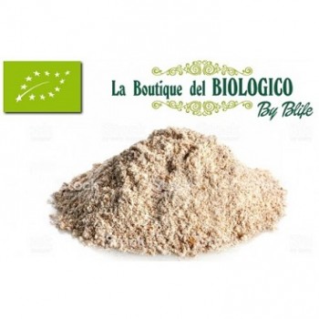 Farina semintegrale tipo 2 bio 100 g (SFUSA)