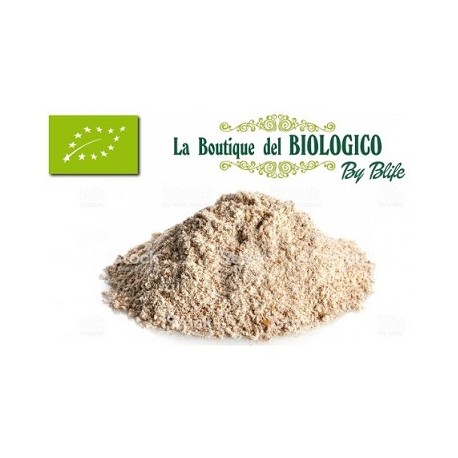 Farina semintegrale tipo 2 bio 100 g (SFUSA)
