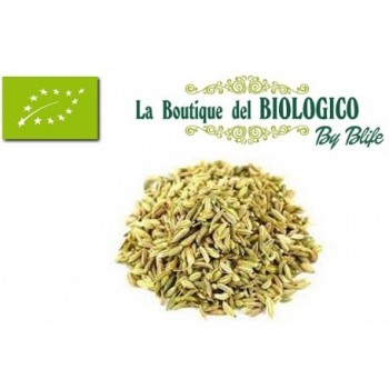 Semi di finocchio bio 100 g (SFUSI)