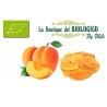 Chips albicocche secche bio 25 g (SFUSE)