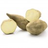 Box Bio Patata Dolce Americana 3 kg