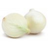 Cipolle bianche tonde bio 250 g