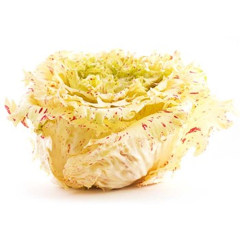 Radicchio Variegato bio 500 g