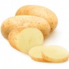 BoxBio Patate a pasta gialla bio 10 Kg