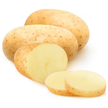 BoxBio Patate a pasta gialla bio 3 Kg