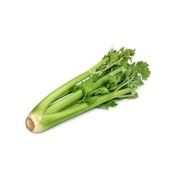 Sedano verde bio 500 g in OFFERTA