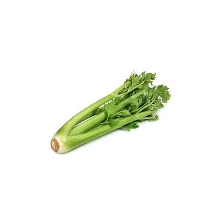 Sedano verde bio 500 g in OFFERTA