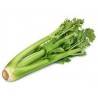 Sedano verde bio 500 g in OFFERTA