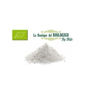 Farina Cocco impalpabile bio 100 g (SFUSA)