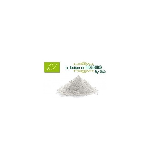 Farina Cocco impalpabile bio 100 g (SFUSA)
