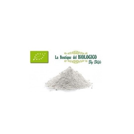 Farina Cocco impalpabile bio 100 g (SFUSA)