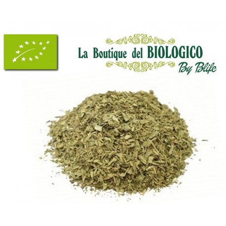 Menta piperita secca bio 25 g (SFUSA)