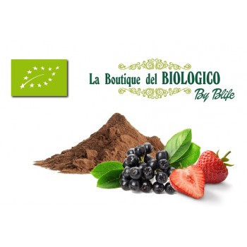Mix di proteine vegetali di frutta bio 100 gr (SFUSO)