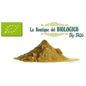 Proteina vegetale di Semi di Zucca bio crudi 100 gr (SFUSA)