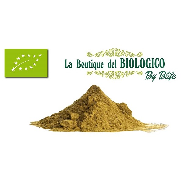 Proteina vegetale di Semi di Zucca bio crudi 100 gr (SFUSA)
