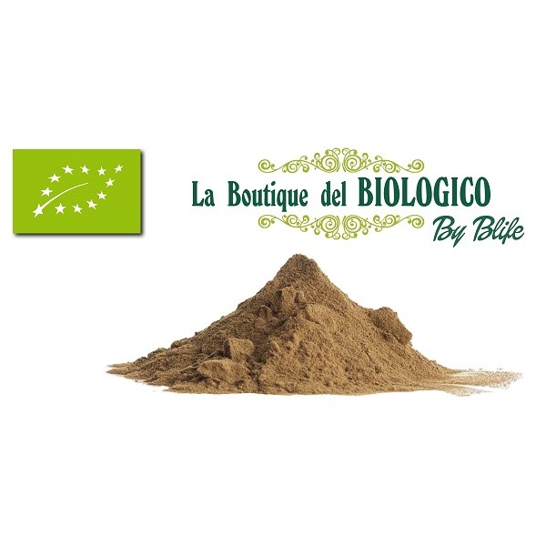 Proteina vegetale di Semi di Lino dorati Bio 100 gr (SFUSA)