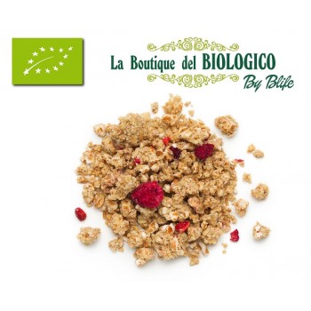 Crunchy alla fragola bio...