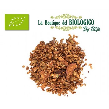 Crunchy tostato con mela e cannella bio 100 gr (SFUSO)