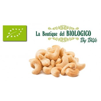Anacardi interi tostati e salati bio 50 gr  (sfusi)
