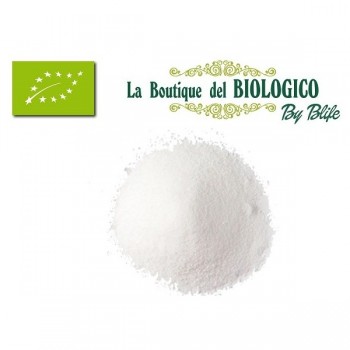 Zucchero di canna bianco bio 100 gr (SFUSO)