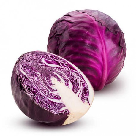 Cavolo Cappuccio tondo viola bio 1 Kg (circa)
