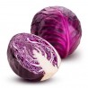 Cavolo Cappuccio tondo viola bio 1 Kg (circa)