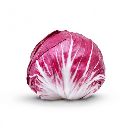 Radicchio Rosso tondo (novello) bio 500 g
