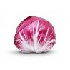 Radicchio Rosso tondo (novello) bio 500 g