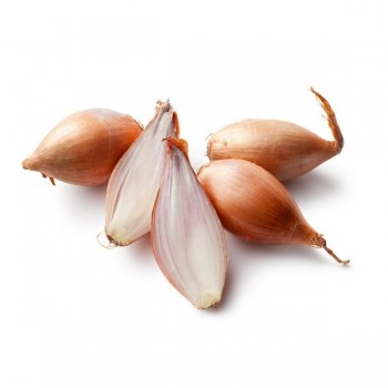 Cipolla scalogno bio 250 g