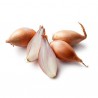 Cipolla scalogno bio 250 g